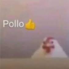 Pollos