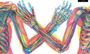 Neuroplasticidad mejora la memoria y la salud.