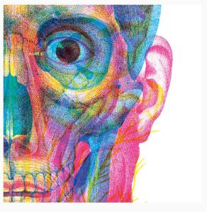 Ejercitar la neuroplasticidad a través de la mente es posible con una serie de ejercicios y prácticas diarias en su rutina.