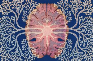 La neuroplasticidad y la salud mental.